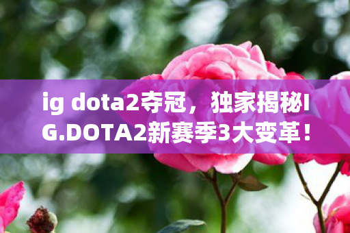ig dota2夺冠，独家揭秘IG.DOTA2新赛季3大变革！亲身体验后我悟了这致命真相