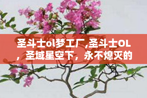 圣斗士ol梦工厂,圣斗士OL,圣域星空下,永不熄灭的小宇宙之梦 圣斗士ol梦工厂,圣斗士OL,圣域星空下,永不熄灭的小宇宙之梦