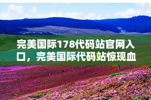 完美国际178代码站官网入口，完美国际代码站惊现血色悬案，代码线索背后的毛骨悚然真相