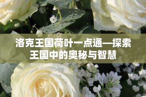 探索王国中的奥秘与智慧图片