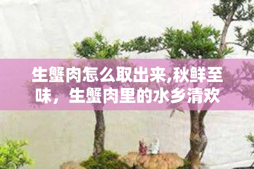 生蟹肉怎么取出来,秋鲜至味，生蟹肉里的水乡清欢