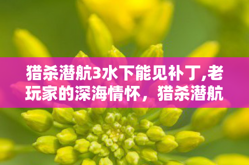 猎杀潜航3水下能见补丁,老玩家的深海情怀，猎杀潜航3适配优化补丁使用体验分享