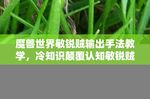 魔兽世界敏锐贼输出手法教学,冷知识颠覆认知敏锐贼输出手法竟藏着目瞪口呆的时空悖论! 魔兽世界敏锐贼输出手法教学,冷知识颠覆认知敏锐贼输出手法竟藏着目瞪口呆的时空悖论!