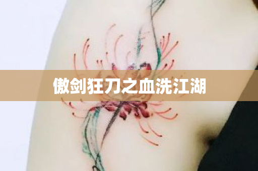 傲剑狂刀之血洗江湖图片