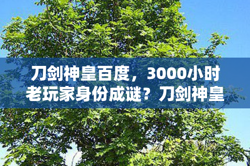 刀剑神皇百度，3000小时老玩家身份成谜？刀剑神皇多平台玩家的血泪独白