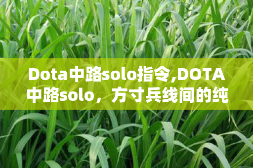 Dota中路solo指令,DOTA中路solo，方寸兵线间的纯粹对决