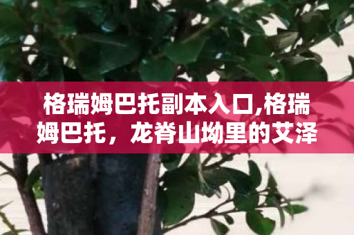 格瑞姆巴托副本入口,格瑞姆巴托，龙脊山坳里的艾泽拉斯史诗坐标