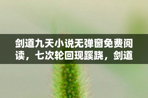 剑道九天小说无弹窗免费阅读，七次轮回现蹊跷，剑道九天背后竟让人后背发凉！