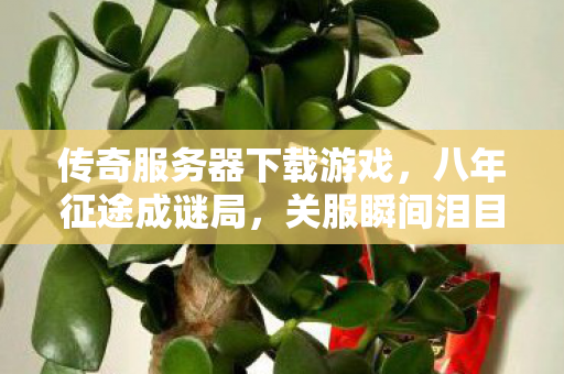 传奇服务器下载游戏，八年征途成谜局，关服瞬间泪目空——传奇私服终章倒计时