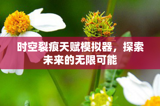 时空裂痕天赋模拟器图片