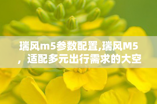 瑞风m5参数配置,瑞风M5,适配多元出行需求的大空间实用座驾 瑞风m5参数配置,瑞风M5,适配多元出行需求的大空间实用座驾