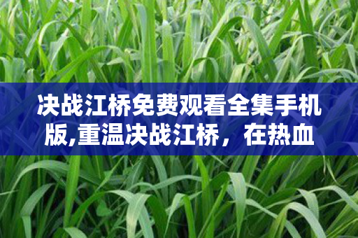 决战江桥免费观看全集手机版,重温决战江桥，在热血抗战叙事里触摸不灭的民族气节