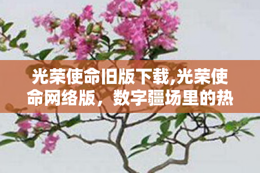 光荣使命旧版下载,光荣使命网络版，数字疆场里的热血家国叙事