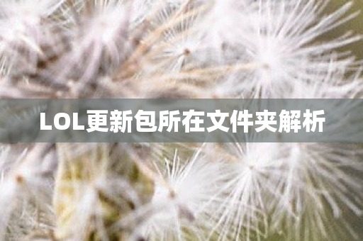 LOL更新包所在文件夹解析图片