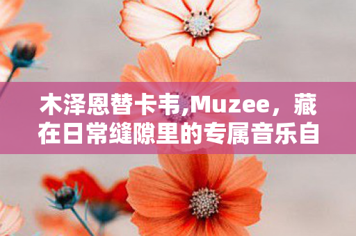 木泽恩替卡韦,Muzee，藏在日常缝隙里的专属音乐自留地