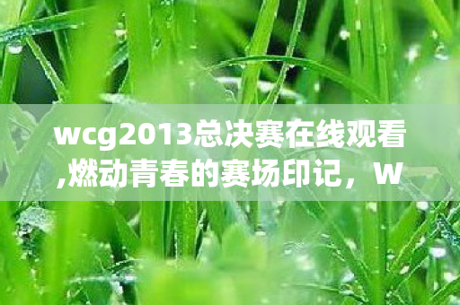 wcg2013总决赛在线观看,燃动青春的赛场印记，WCG2013中国区总决赛英雄联盟的滚烫回忆