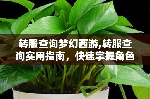 转服查询梦幻西游,转服查询实用指南，快速掌握角色迁移状态，避坑不踩雷