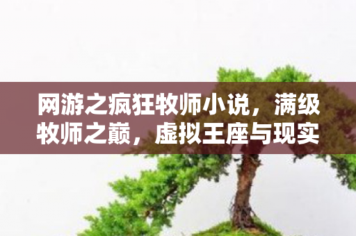 网游之疯狂牧师小说,满级牧师之巅,虚拟王座与现实深渊的灵魂悖论 网游之疯狂牧师小说,满级牧师之巅,虚拟王座与现实深渊的灵魂悖论