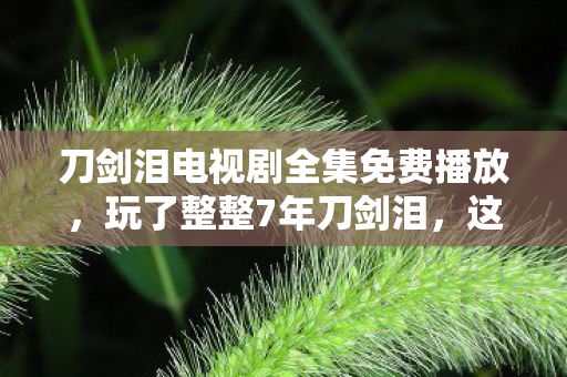 刀剑泪电视剧全集免费播放，玩了整整7年刀剑泪，这3个结局我该选谁？心碎还是圆满？