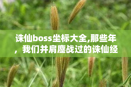 诛仙boss坐标大全,那些年，我们并肩鏖战过的诛仙经典BOSS