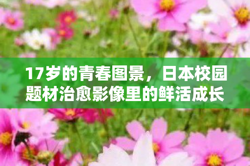 17岁的青春图景,日本校园题材治愈影像里的鲜活成长注脚 17岁的青春图景,日本校园题材治愈影像里的鲜活成长注脚