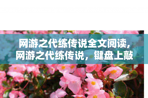 网游之代练传说全文阅读,网游之代练传说,键盘上敲出的滚烫青春注脚 网游之代练传说全文阅读,网游之代练传说,键盘上敲出的滚烫青春注脚