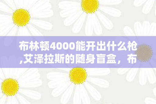 布林顿4000能开出什么枪,艾泽拉斯的随身盲盒，布林顿4000的惊喜掉落清单