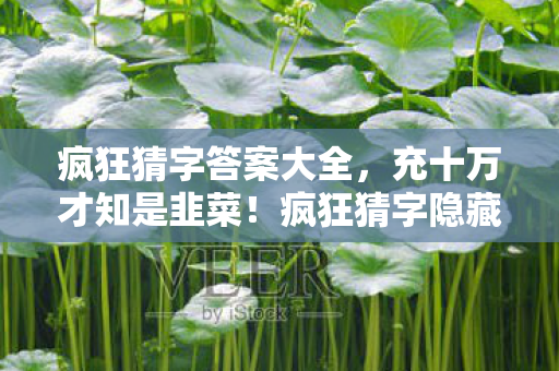 疯狂猜字答案大全，充十万才知是韭菜！疯狂猜字隐藏消费真相吓破胆
