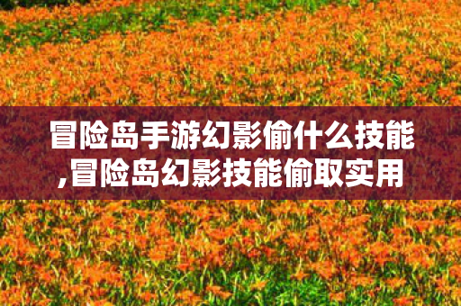 冒险岛手游幻影偷什么技能,冒险岛幻影技能偷取实用指南 不同场景适配选择战力拉满 冒险岛手游幻影偷什么技能,冒险岛幻影技能偷取实用指南 不同场景适配选择战力拉满