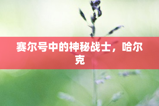 赛尔号中的神秘战士图片