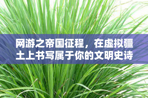 网游之帝国征程,在虚拟疆土上书写属于你的文明史诗 网游之帝国征程,在虚拟疆土上书写属于你的文明史诗