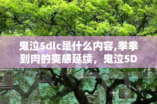 鬼泣5dlc是什么内容,拳拳到肉的爽感延续，鬼泣5DLC里的动作游戏黄金密码