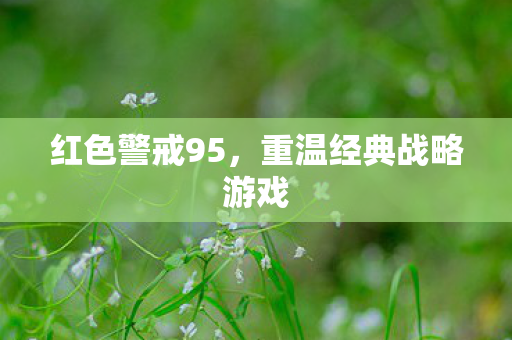重温经典战略游戏图片