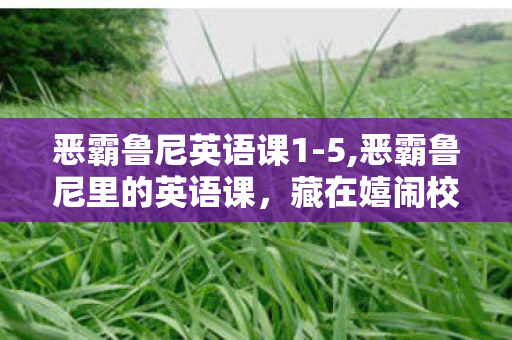 恶霸鲁尼英语课1-5,恶霸鲁尼里的英语课,藏在嬉闹校园里的文字趣味小天地 恶霸鲁尼英语课1-5,恶霸鲁尼里的英语课,藏在嬉闹校园里的文字趣味小天地