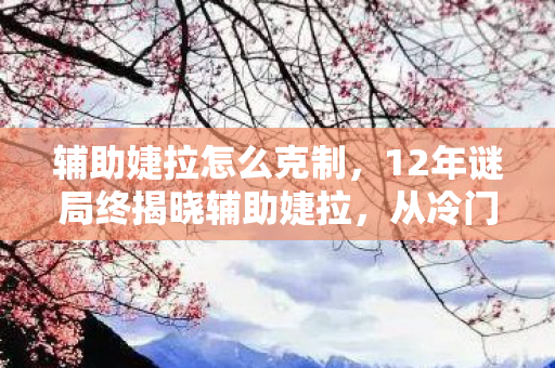 辅助婕拉怎么克制,12年谜局终揭晓辅助婕拉,从冷门到传奇的泪目征程 辅助婕拉怎么克制,12年谜局终揭晓辅助婕拉,从冷门到传奇的泪目征程