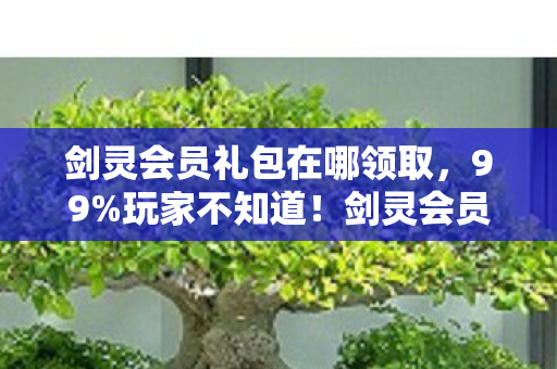剑灵会员礼包在哪领取,99%玩家不知道!剑灵会员礼包竟藏在这3大平台隐秘角落 剑灵会员礼包在哪领取,99%玩家不知道!剑灵会员礼包竟藏在这3大平台隐秘角落