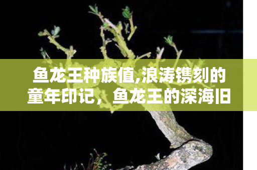 鱼龙王种族值,浪涛镌刻的童年印记,鱼龙王的深海旧梦 鱼龙王种族值,浪涛镌刻的童年印记,鱼龙王的深海旧梦
