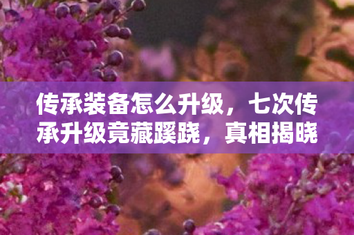 传承装备怎么升级,七次传承升级竟藏蹊跷,真相揭晓时后背发凉! 传承装备怎么升级,七次传承升级竟藏蹊跷,真相揭晓时后背发凉!