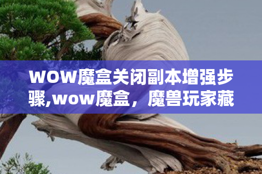 WOW魔盒关闭副本增强步骤,wow魔盒,魔兽玩家藏在口袋里的艾泽拉斯小站 WOW魔盒关闭副本增强步骤,wow魔盒,魔兽玩家藏在口袋里的艾泽拉斯小站