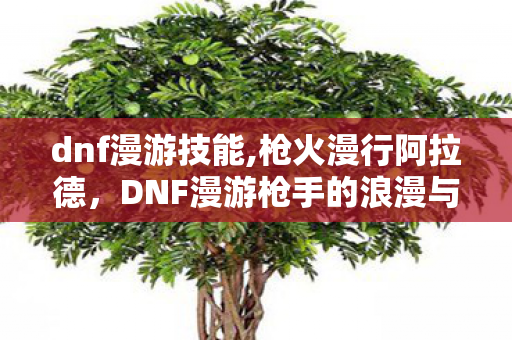 dnf漫游技能,枪火漫行阿拉德,DNF漫游枪手的浪漫与坚守 dnf漫游技能,枪火漫行阿拉德,DNF漫游枪手的浪漫与坚守