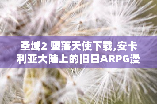 圣域2 堕落天使下载,安卡利亚大陆上的旧日ARPG漫游记忆 圣域2 堕落天使下载,安卡利亚大陆上的旧日ARPG漫游记忆