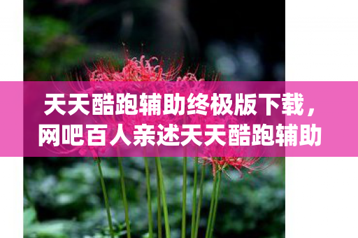 天天酷跑辅助终极版下载,网吧百人亲述天天酷跑辅助终极版疑云,这bug谁绷得住啊! 天天酷跑辅助终极版下载,网吧百人亲述天天酷跑辅助终极版疑云,这bug谁绷得住啊!