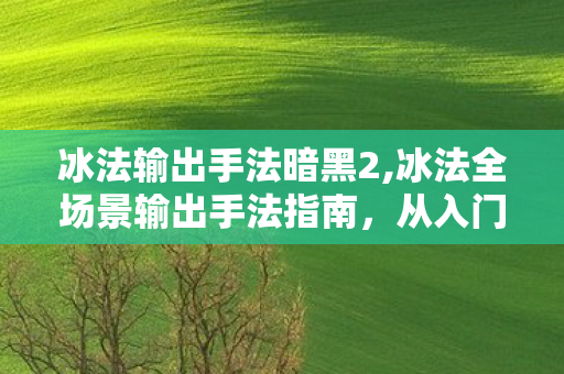 冰法输出手法暗黑2,冰法全场景输出手法指南,从入门到轻松打满输出上限 冰法输出手法暗黑2,冰法全场景输出手法指南,从入门到轻松打满输出上限