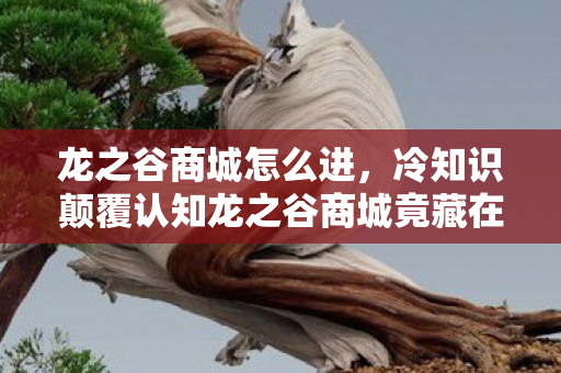龙之谷商城怎么进,冷知识颠覆认知龙之谷商城竟藏在这里?99%玩家目瞪口呆的隐藏入口! 龙之谷商城怎么进,冷知识颠覆认知龙之谷商城竟藏在这里?99%玩家目瞪口呆的隐藏入口!