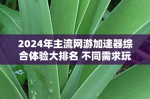 2024年主流网游加速器综合体验大排名 不同需求玩家选购指南 2024年主流网游加速器综合体验大排名 不同需求玩家选购指南
