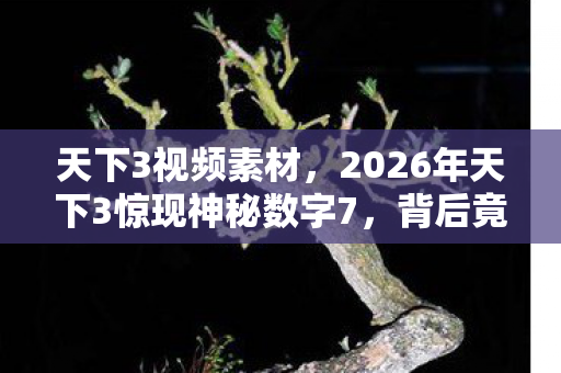 天下3视频素材，2026年天下3惊现神秘数字7，背后竟藏颠覆三界的终极秘密？