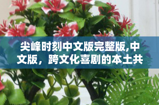 尖峰时刻中文版完整版,中文版,跨文化喜剧的本土共情记忆 尖峰时刻中文版完整版,中文版,跨文化喜剧的本土共情记忆