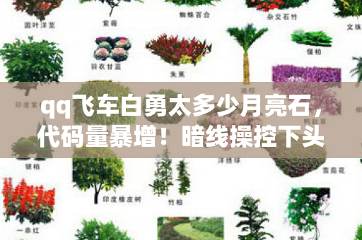 qq飞车白勇太多少月亮石,代码量暴增!暗线操控下头皮发麻的月亮石获取真相 qq飞车白勇太多少月亮石,代码量暴增!暗线操控下头皮发麻的月亮石获取真相