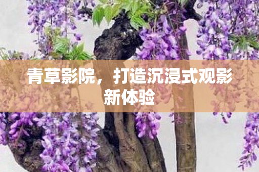 打造沉浸式观影新体验图片