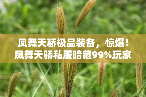凤舞天骄极品装备,惊爆!凤舞天骄私服暗藏99%玩家不知的3大逆天福利? 凤舞天骄极品装备,惊爆!凤舞天骄私服暗藏99%玩家不知的3大逆天福利?